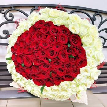 Букет 101 красно-белая роза (Артикул  114231nvsb)