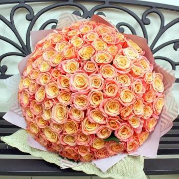 Букет Оранжевые розы Эквадор 101 шт (50 см) articul: 116454