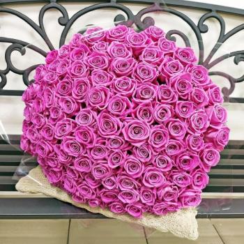 Розовые розы Эквадор 101 шт (50 см) [артикул - 116376]